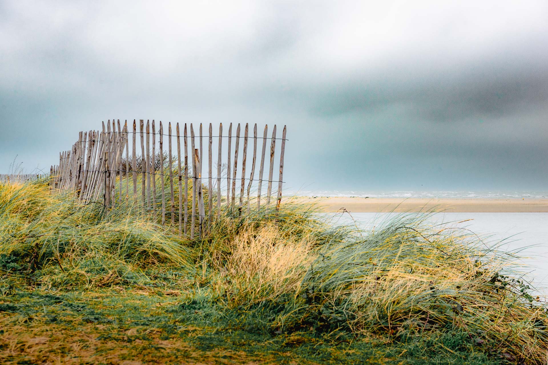 Balade dans les dunes du Touquet-2